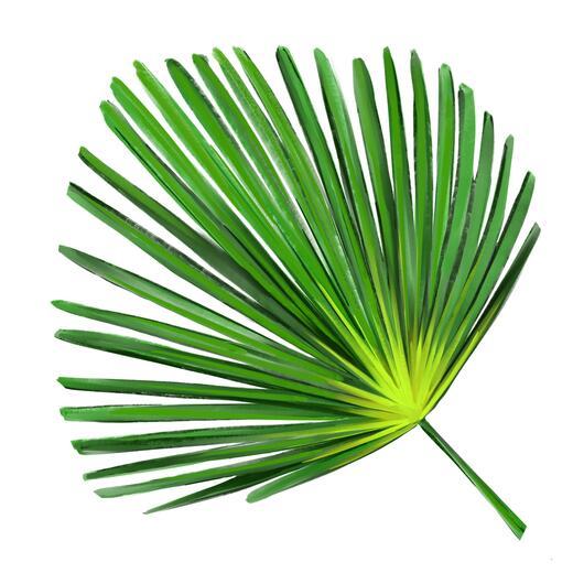 Thumbnail for original image