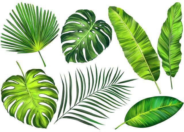 Thumbnail for original image