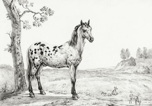 Thumbnail for original image