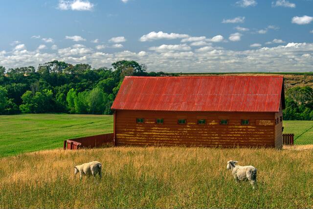 Thumbnail for original image