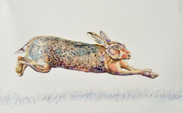 Thumbnail for original image