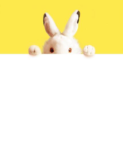 Thumbnail for original image