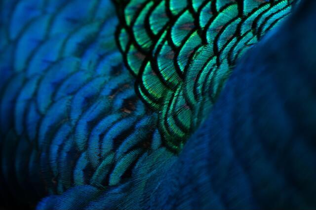 Thumbnail for original image