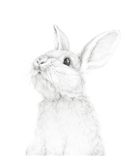 Thumbnail for original image