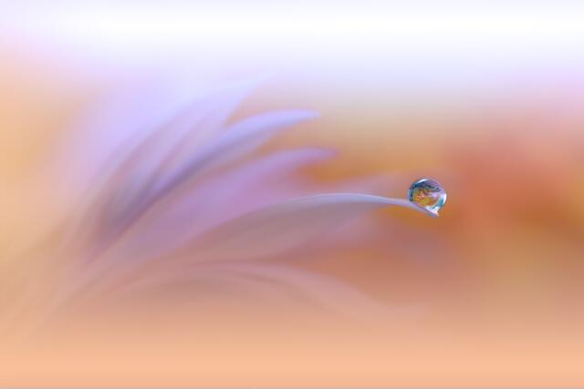 Thumbnail for original image