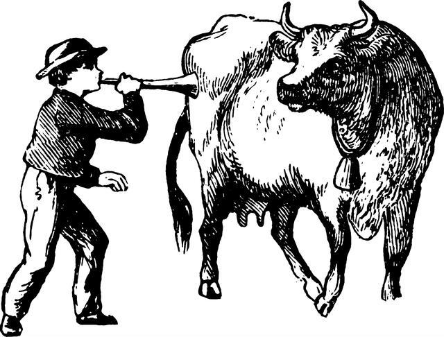 Thumbnail for original image