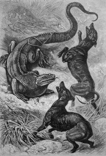 Thumbnail for original image