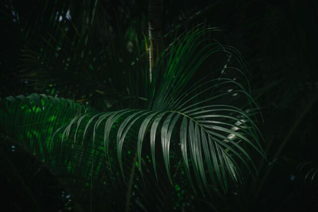 Thumbnail for original image