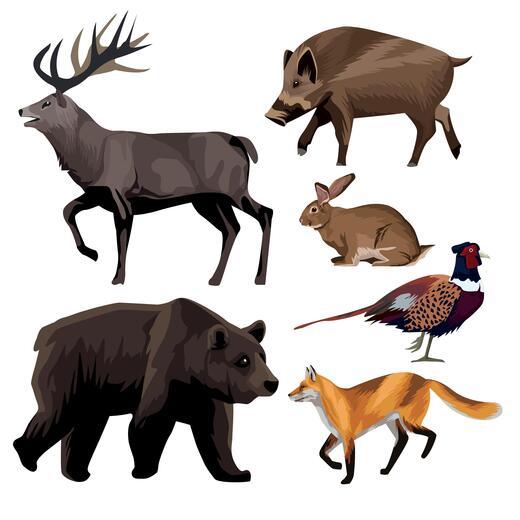 Thumbnail for original image