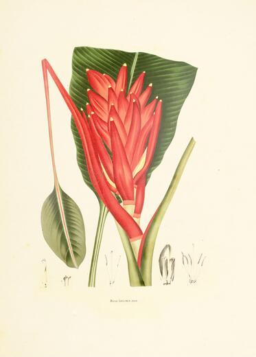 Thumbnail for original image