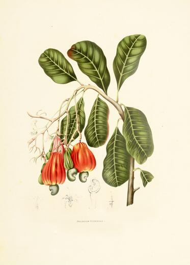 Thumbnail for original image