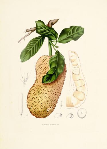 Thumbnail for original image