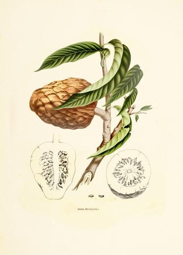 Thumbnail for original image
