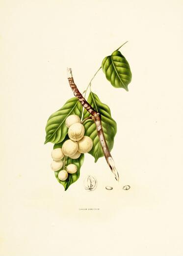 Thumbnail for original image