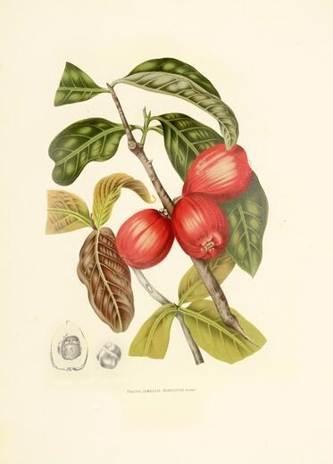 Thumbnail for original image