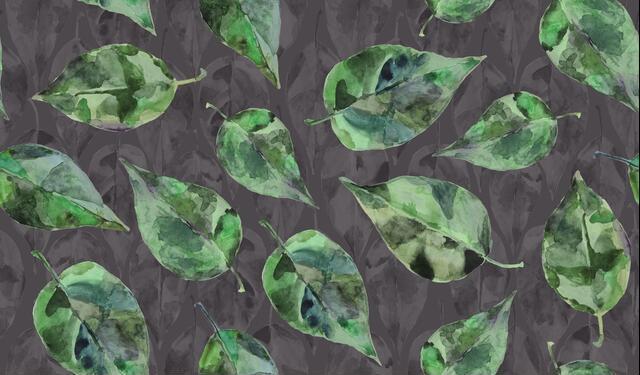 Thumbnail for original image