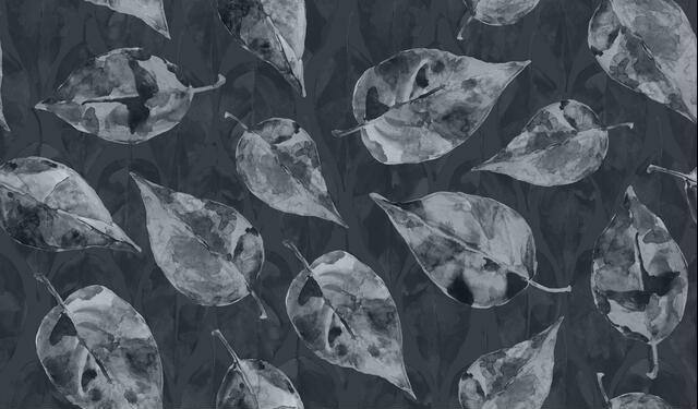 Thumbnail for original image