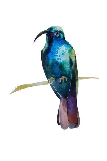 Thumbnail for original image
