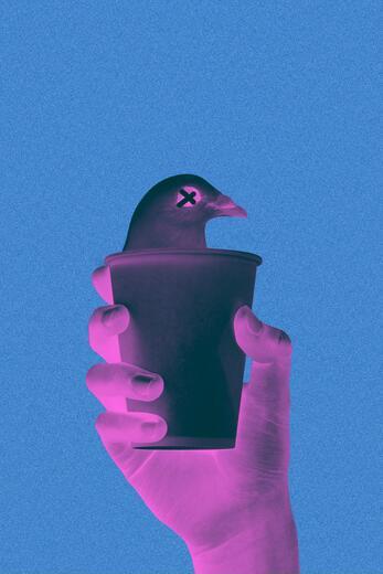 Thumbnail for original image