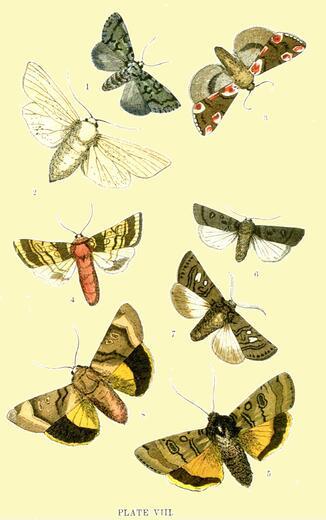Thumbnail for original image