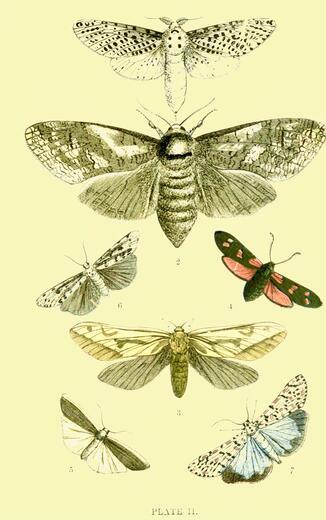 Thumbnail for original image