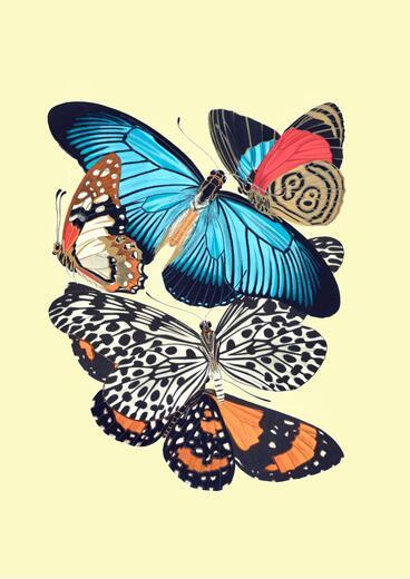 Thumbnail for original image