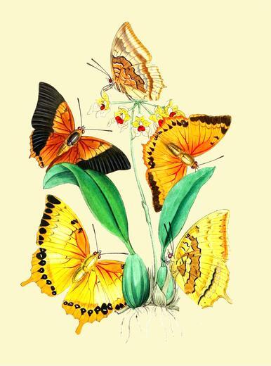 Thumbnail for original image