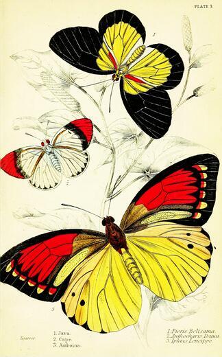 Thumbnail for original image