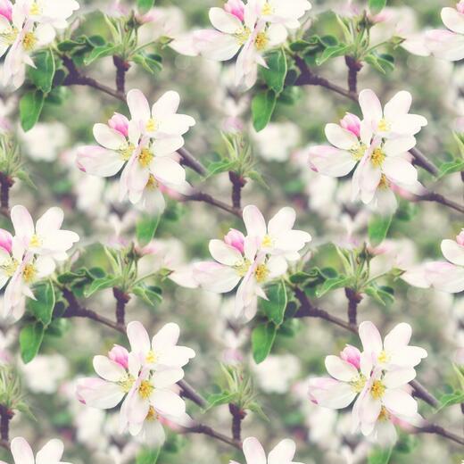 Thumbnail for original image