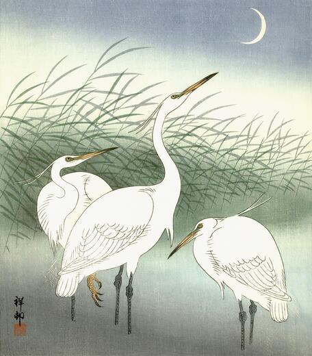Thumbnail for original image