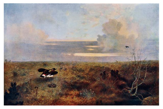 Thumbnail for original image