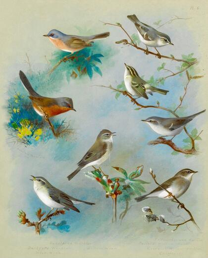 Thumbnail for original image