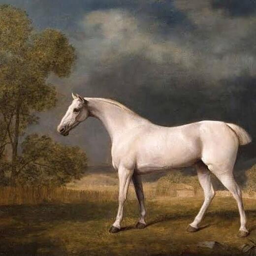 Thumbnail for original image