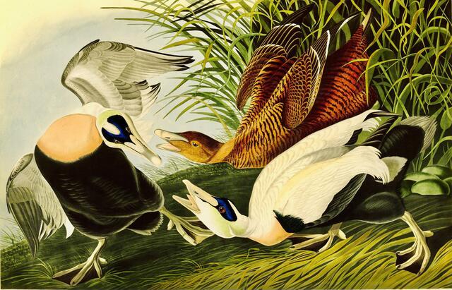 Thumbnail for original image