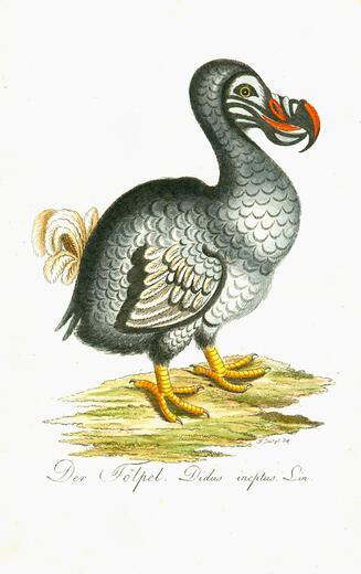 Thumbnail for original image