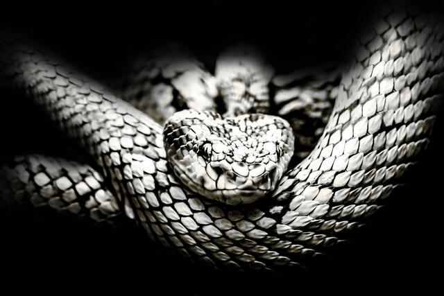 Thumbnail for original image