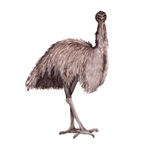 Thumbnail for original image