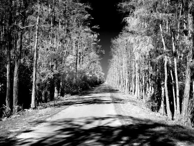 Thumbnail for original image