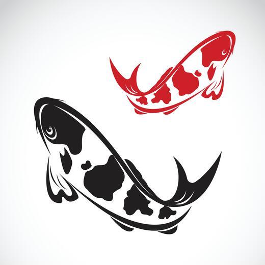 Thumbnail for original image