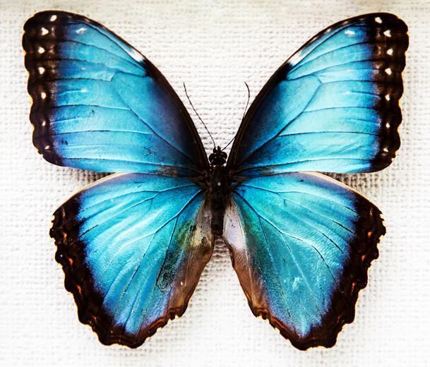 Thumbnail for original image