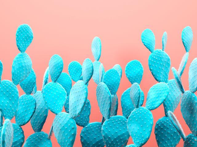 Thumbnail for original image