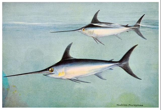 Thumbnail for original image