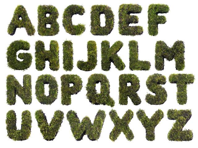 Thumbnail for original image