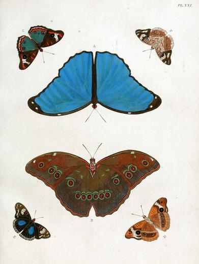 Thumbnail for original image