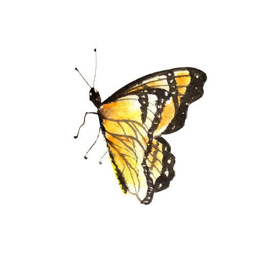 Thumbnail for original image