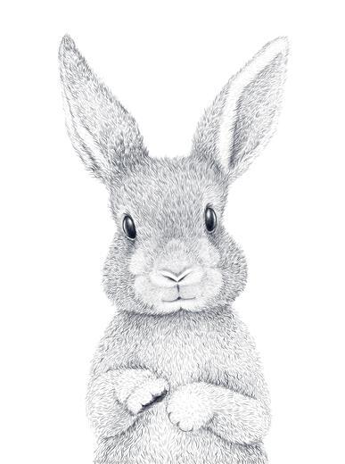 Thumbnail for original image