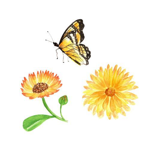 Thumbnail for original image