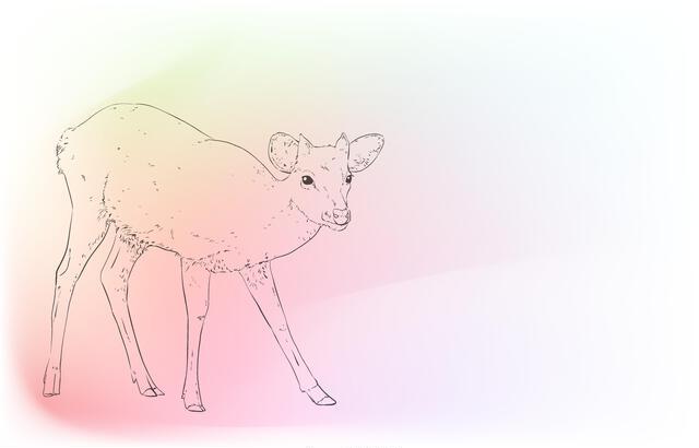 Thumbnail for original image
