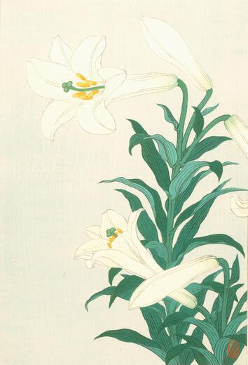 Thumbnail for original image