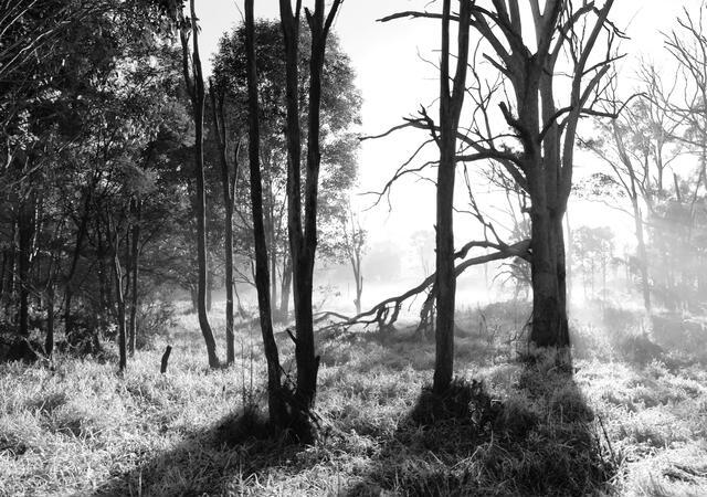Thumbnail for original image